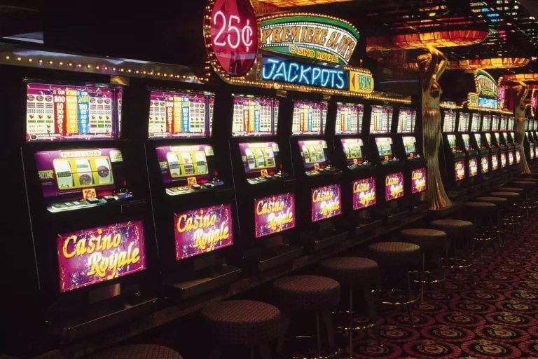 evosgaming slot Dragon Tiger Live betting interface showing multiple bet positions